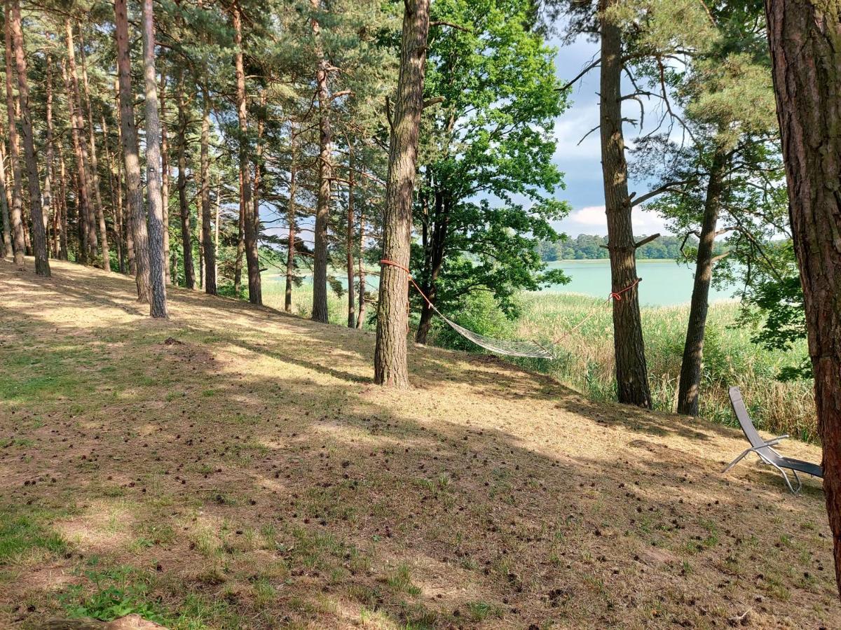 Jw Mazury Domy Wakacyjne Nad Jeziorem-Dom Czapla Waplewo  Luaran gambar